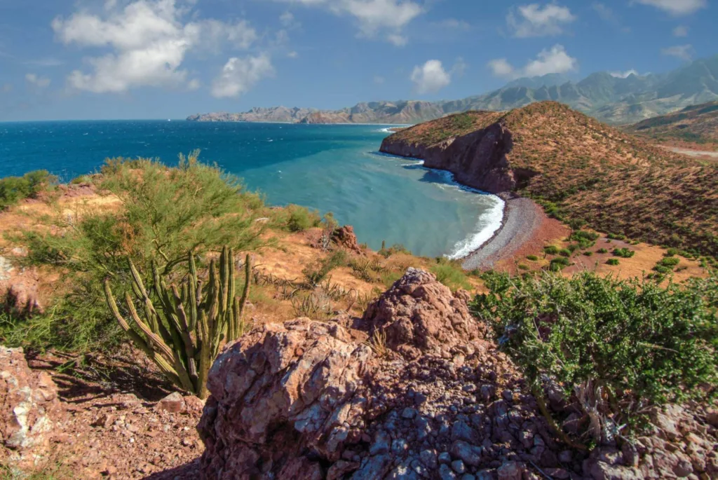Best Time of Year to Go Diving in Cabo San Lucas