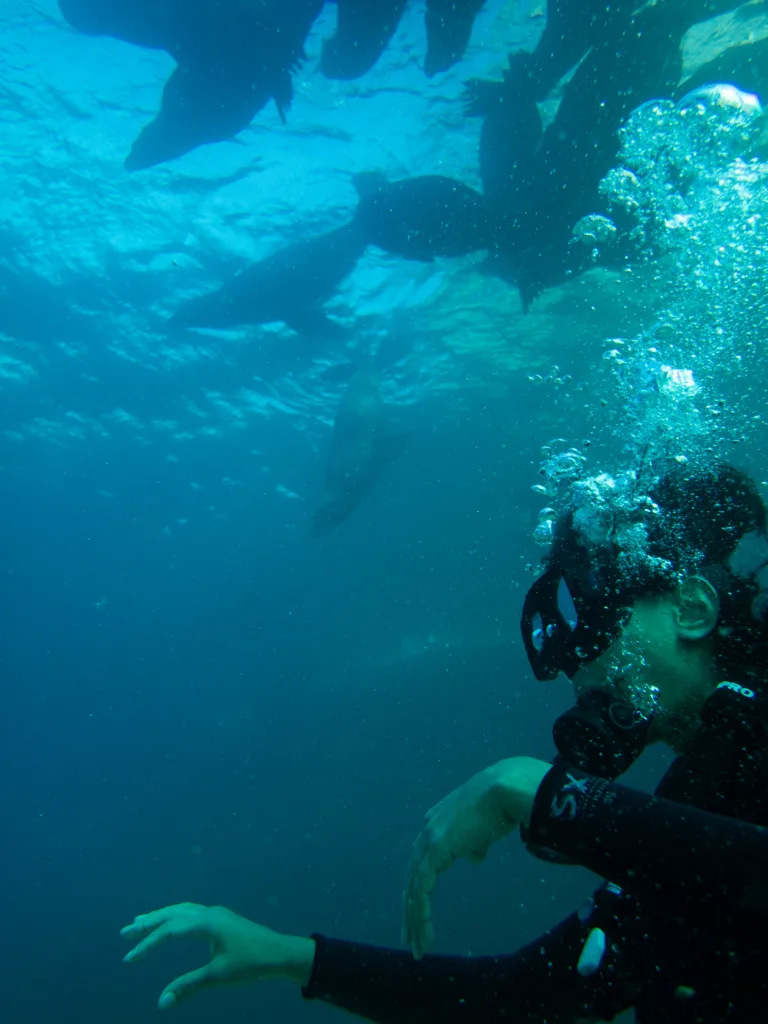 Discover Scuba Diver