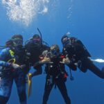 hammerhead_divers_hd